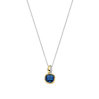 Juweel TI SENTO COLLIER 6865DB Juweel TI SENTO COLLIER 6865DB