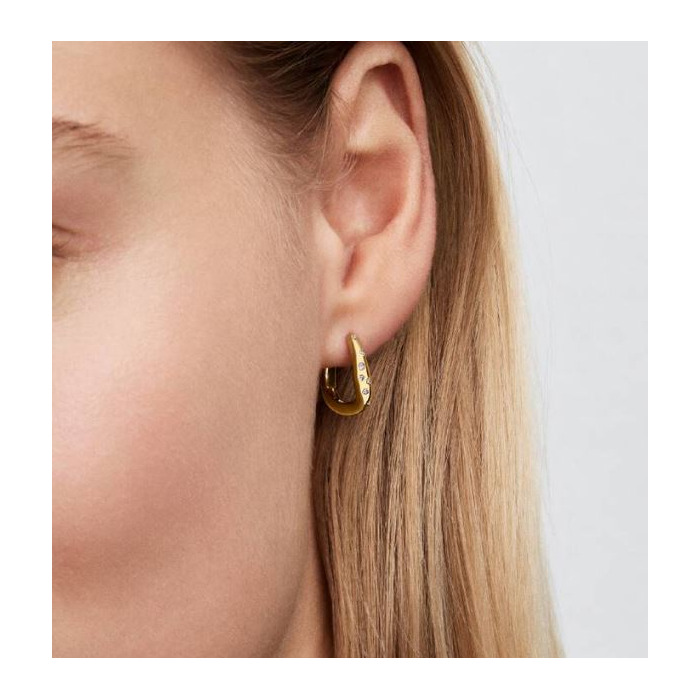 278405 01 Pandora Hoop Earrings 264663C01 Juwelier Clem Vercammen.jpg