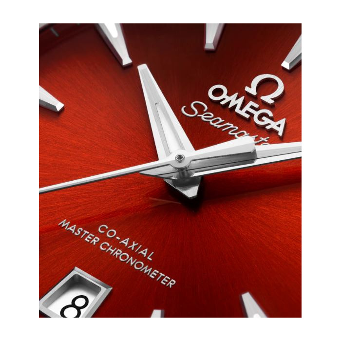 Omega Seamaster Aqua Terra 150M Co Axial Master Chronometer 8mm 22010382013003 Juwelier Clem Vercammen.jpg