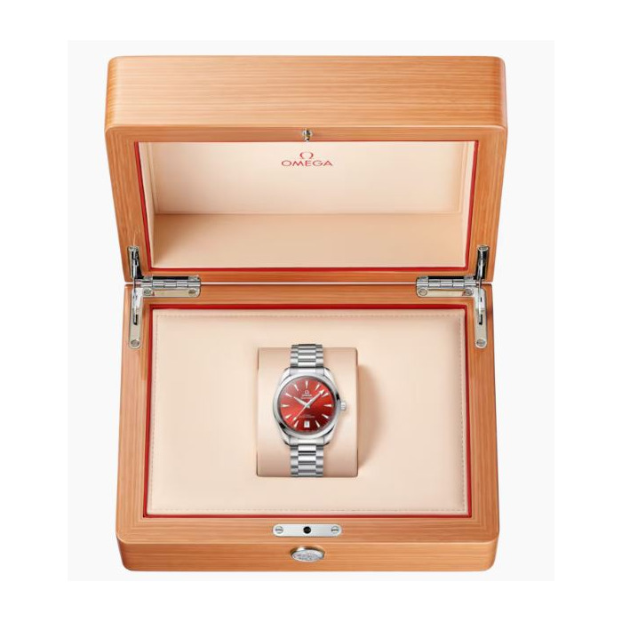 Omega Seamaster Aqua Terra 150M Co Axial Master Chronometer 8mm 22010382013003 Juwelier Clem Vercammen.jpg