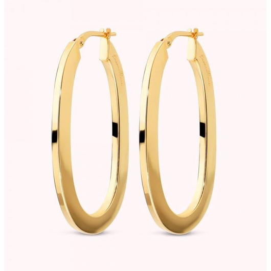 Juweel BRONZALLURE EARRINGS WSBZ02723Y.YG Juweel BRONZALLURE EARRINGS WSBZ02723Y.YG