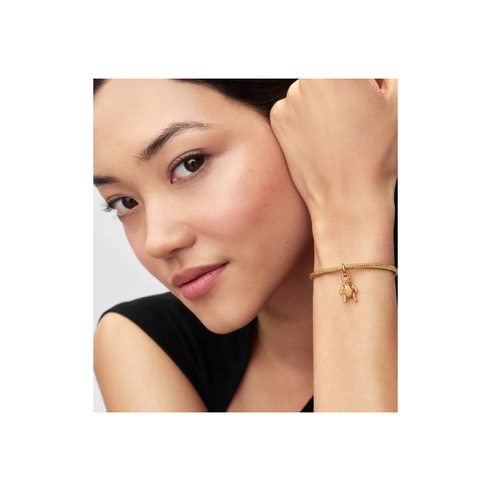 278879 01 Pandora Disney Winnie the Pooh 765094C00 Juwelier Clem Vercammen.jpg