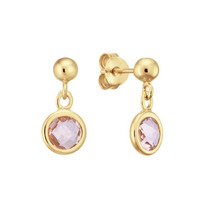 Juweel GLOW OORSTEKERS PINK 106.8621.00 Juweel GLOW OORSTEKERS PINK 106.8621.00