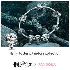 Welkom in de magische wereld van Harry Potter