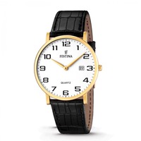 Horloge FESTINA F16478/1 Horloge FESTINA F16478/1