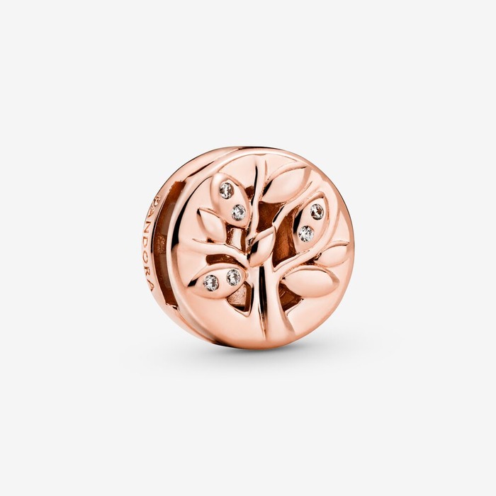 Juweel Pandora REFLEXIONS - 788822C01 - SPARKLING FAMILY TREE