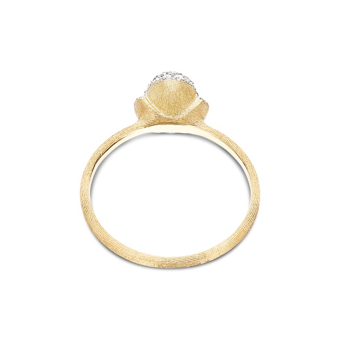 230471_01_nanis-collectie-dancing-in-the-rain-elite-ring-18karaat-goud-diamonds-AS9-583-juwelier-clem-vercammen-02-.jpeg