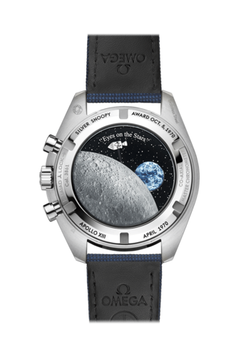 The beagle has landed The beagle has landed