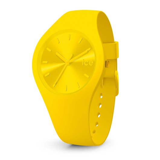 Horloge ICE-WATCH - ICE COLOUR - CITRUS - 017909 M