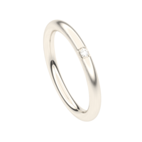 Juweel Trouwring Traditions witgoud 18 karaat 4T253CN-25 Briljant Juweel Trouwring Traditions witgoud 18 karaat 4T253CN-25 Briljant