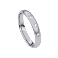 Juweel Trouwring Traditions Palladium Briljant mat 5T163ED/35 Juweel Trouwring Traditions Palladium Briljant mat 5T163ED/35