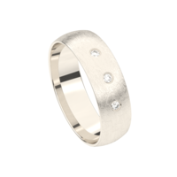 Juweel Trouwring Traditions witgoud 18 karaat Briljant 5T126EN/60 Juweel Trouwring Traditions witgoud 18 karaat Briljant 5T126EN/60