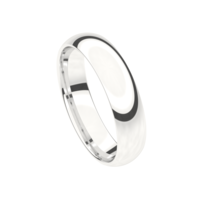 Juweel Trouwring Traditions witgoud 18 karaat 5T160-W/50 Juweel Trouwring Traditions witgoud 18 karaat 5T160-W/50