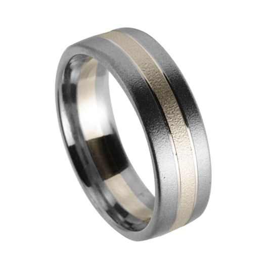 Juweel Trouwring Amici Titanium Naturel Witgoud 9 karaat 5402/01 Juweel Trouwring Amici Titanium Naturel Witgoud 9 karaat 5402/01