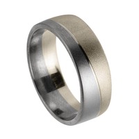 Juweel Trouwring Amici Titanium Naturel Witgoud 9 karaat 5404/01 Juweel Trouwring Amici Titanium Naturel Witgoud 9 karaat 5404/01