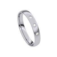 Juweel Trouwring Traditions Palladium Briljant 6T129ED/35 Juweel Trouwring Traditions Palladium Briljant 6T129ED/35