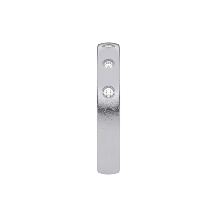 Juweel Trouwring Traditions Palladium Briljant 6T129ED/35