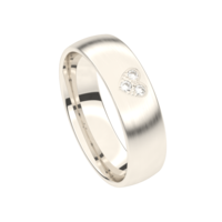 Juweel Trouwring Traditions Witgoud 18 karaat Briljant 6T163IN/60 Juweel Trouwring Traditions Witgoud 18 karaat Briljant 6T163IN/60