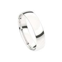 Juweel Trouwring Traditions Witgoud 6T120-W/50 Juweel Trouwring Traditions Witgoud 6T120-W/50