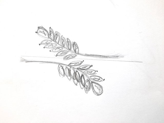 Clem Vercammen Diamond Collection Clem Vercammen Diamond Collection