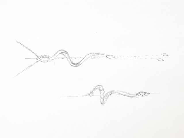 Clem Vercammen Diamond Collection Clem Vercammen Diamond Collection