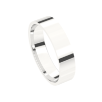 Juweel Trouwring Traditions Witgoud 18 karaat 8T120-W/50 Juweel Trouwring Traditions Witgoud 18 karaat 8T120-W/50