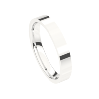 Juweel Trouwring Traditions Witgoud 18 karaat 8T160-W/35 Juweel Trouwring Traditions Witgoud 18 karaat 8T160-W/35