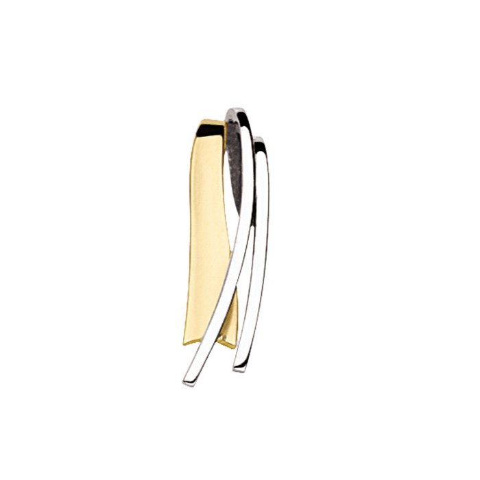 Juweel Beheyt hanger 18 karaat bicolor 00A787 
