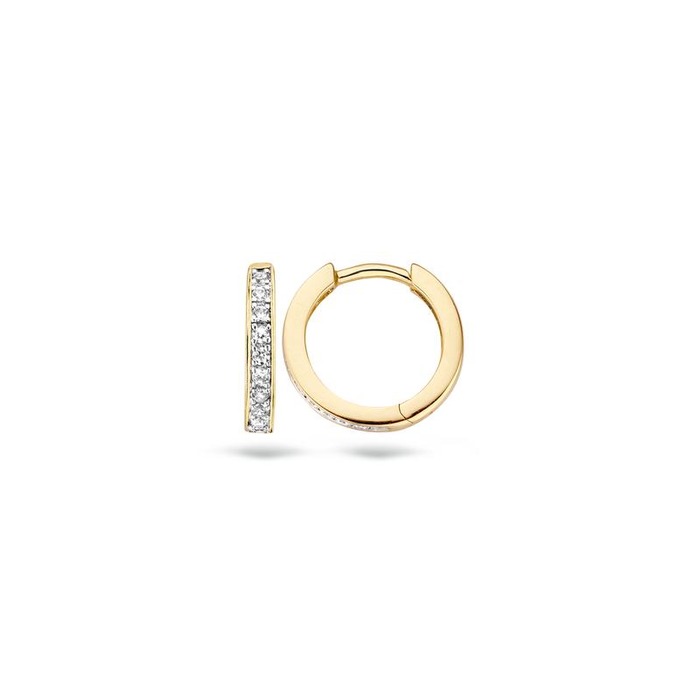 Juweel Blush Oorbellen 14K geel goud zirkonium 7129BZI 