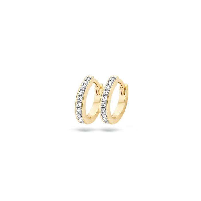 Juweel Blush Oorbellen 14K geel goud zirkonium 7129BZI 