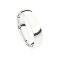 Juweel Trouwring Traditions witgoud 18 karaat 9T160-W/50 Juweel Trouwring Traditions witgoud 18 karaat 9T160-W/50