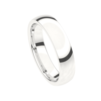 Juweel Trouwring Traditions witgoud 18 karaat 9T200-W/50 Juweel Trouwring Traditions witgoud 18 karaat 9T200-W/50