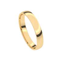 Juweel Trouwring Traditions geelgoud 18 karaat 9T120-G/35 Juweel Trouwring Traditions geelgoud 18 karaat 9T120-G/35