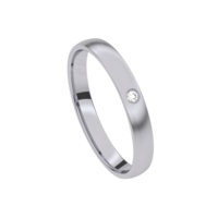 Juweel Trouwring Traditions Palladium Briljant 9T123AD/30 Juweel Trouwring Traditions Palladium Briljant 9T123AD/30