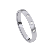 Juweel Trouwring Traditions Palladium Briljant 9T123ED/30 Juweel Trouwring Traditions Palladium Briljant 9T123ED/30