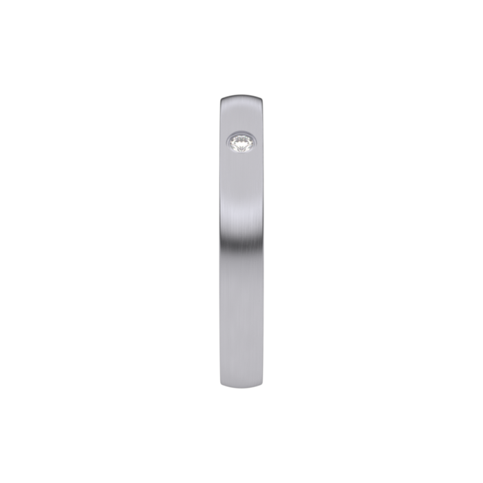 Juweel Trouwring Traditions Palladium Briljant 9T123AD/30