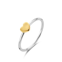 Juweel Naiomy Moments zilver ring B1V16  Juweel Naiomy Moments zilver ring B1V16