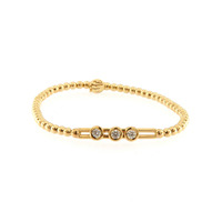 Juweel Hulch Belluni armband 20374-YW Juweel Hulch Belluni armband 20374-YW