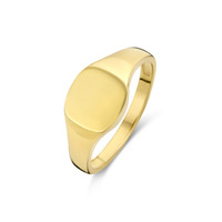 Juweel Beheyt Zegelring 18K Geelgoud 062034 Juweel Beheyt Zegelring 18K Geelgoud 062034
