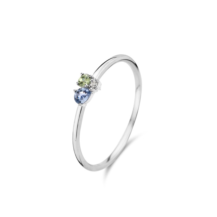 Juweel Beheyt Ring 18K Witgoud Diamant 064307/SA 