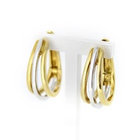 Juweel Oorbellen bicolor wit en geelgoud 18karaat 'CV-1044-TWDH' Juweel Oorbellen bicolor wit en geelgoud 18karaat 'CV-1044-TWDH'