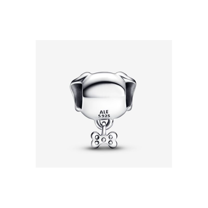 Juweel Pandora Moments Pet Dog & Bone Bedel 792254C01 