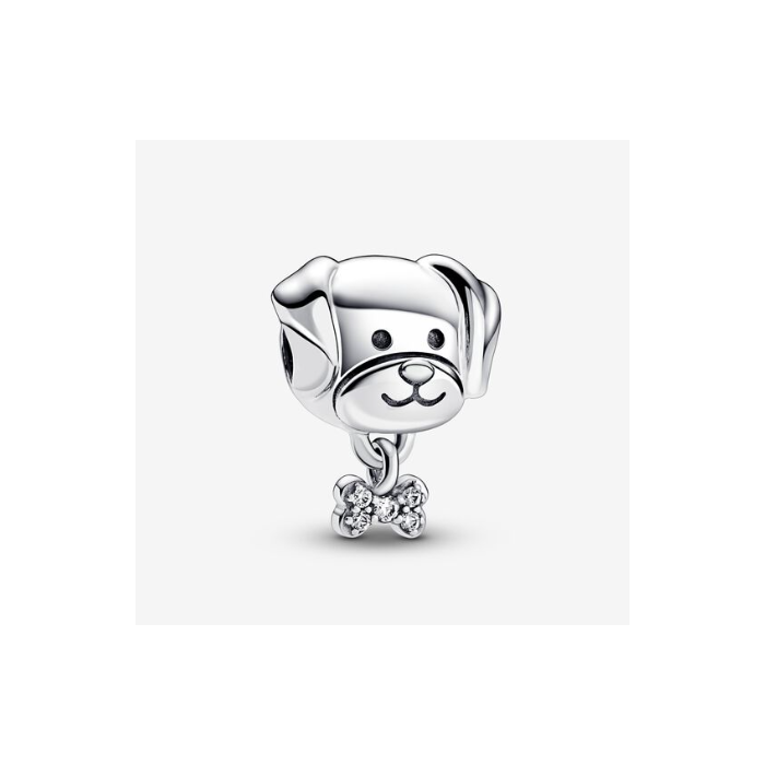 Juweel Pandora Moments Pet Dog & Bone Bedel 792254C01 