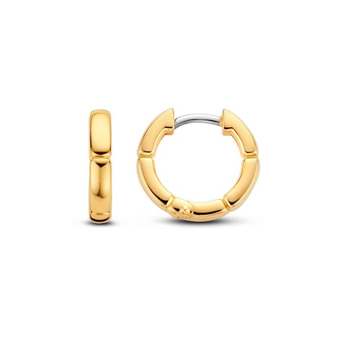 Juweel Ti Sento Milano Earrings 7889SY