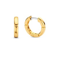 Juweel Ti Sento Milano Earrings 7889SY Juweel Ti Sento Milano Earrings 7889SY