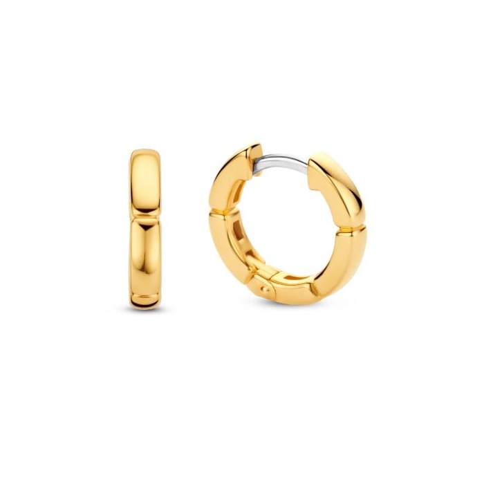 Juweel Ti Sento Milano Earrings 7889SY