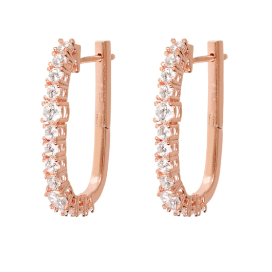 Juweel BRONZALLURE ALTISSIMA EARRINGS WSBZ02059.W