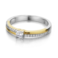 Juweel Silver Rose ring pleetgoud R2308G Juweel Silver Rose ring pleetgoud R2308G