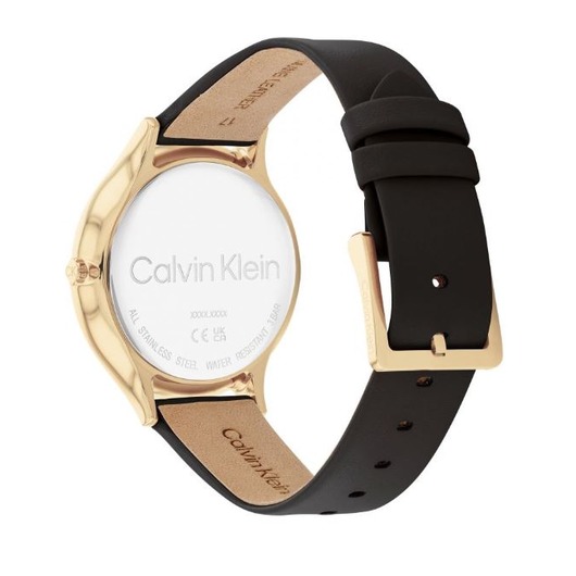 Horloge Calvin Klein Timeless 25200008