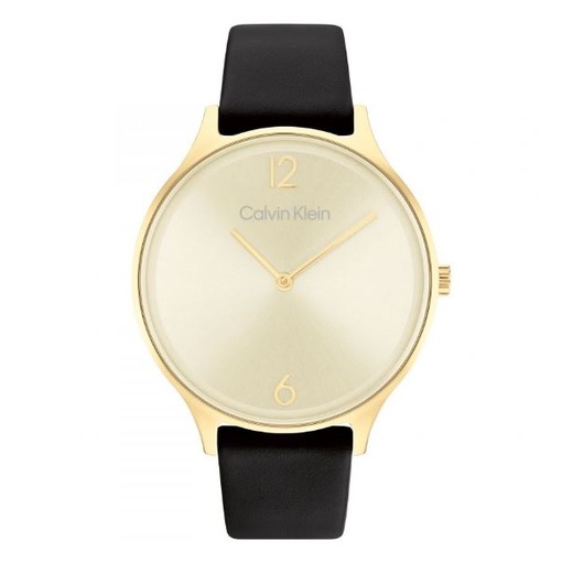 Horloge Calvin Klein Timeless 25200008